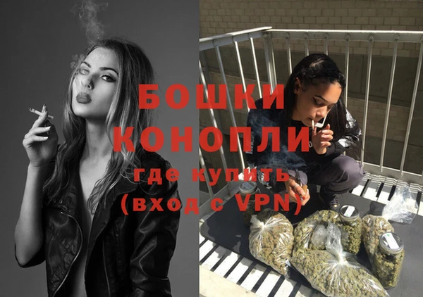 гашик Белокуриха
