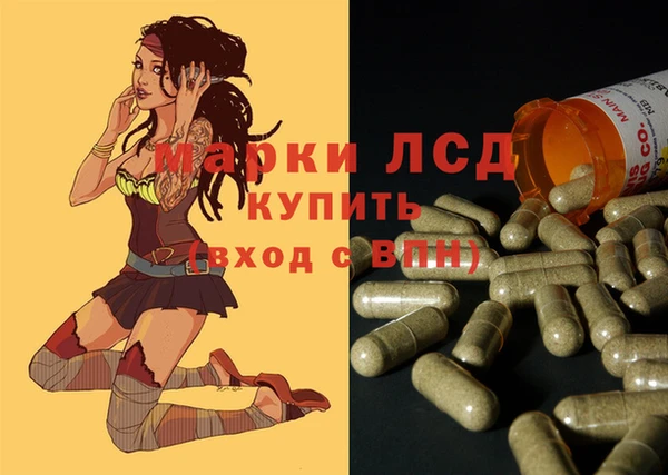 гашик Белокуриха
