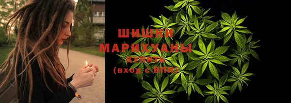гашик Белокуриха